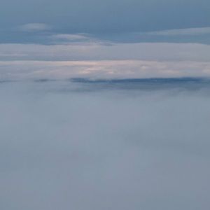 Meet your Posher, Daysha